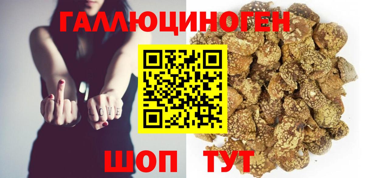 Гусь-Хрустальный  Псилоцибиновые грибы прущие грибы  Вход с VPN 