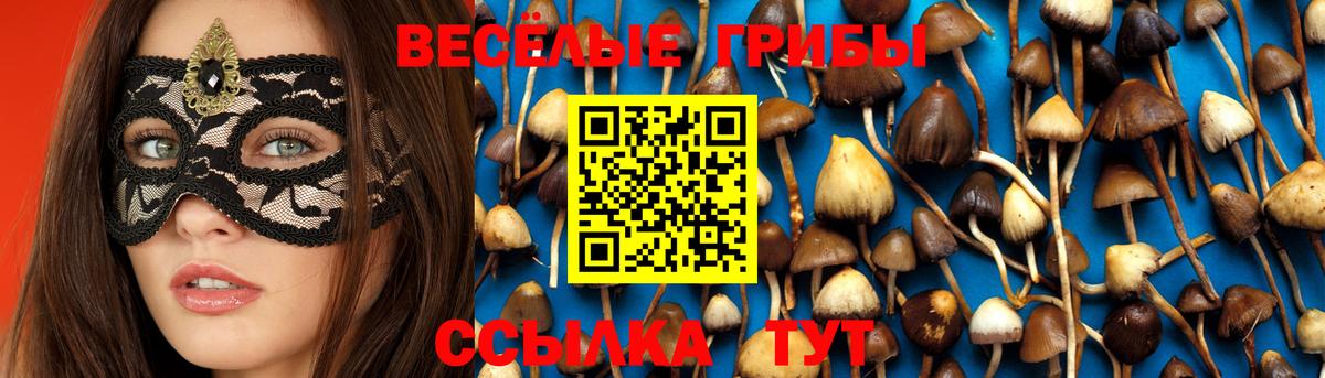 Галлюциногенные грибы Magic Shrooms Гусь-Хрустальный